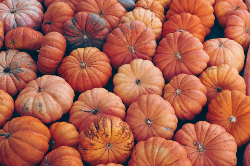 Fall Crops