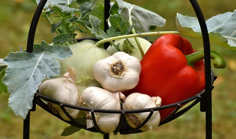 Summer Vegetables